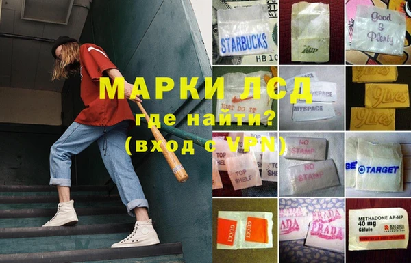 ECSTASY Белокуриха