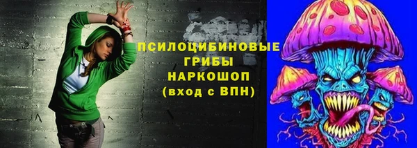 ешки Балахна